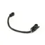 Shires Rolled Lip Strap - Black